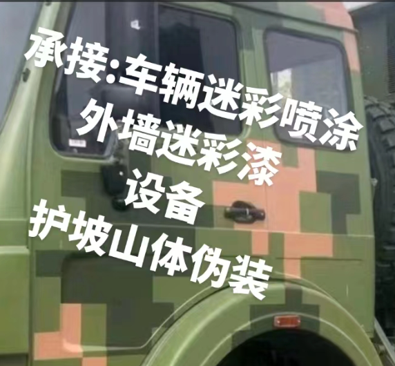 池州外墙和地面的迷彩漆施工