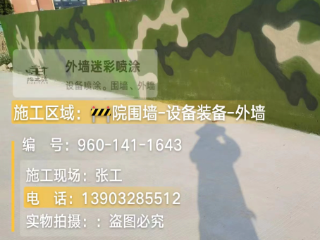 池州 迷彩漆喷涂价格（按平方米计费）