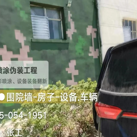 池州数码迷彩漆施工